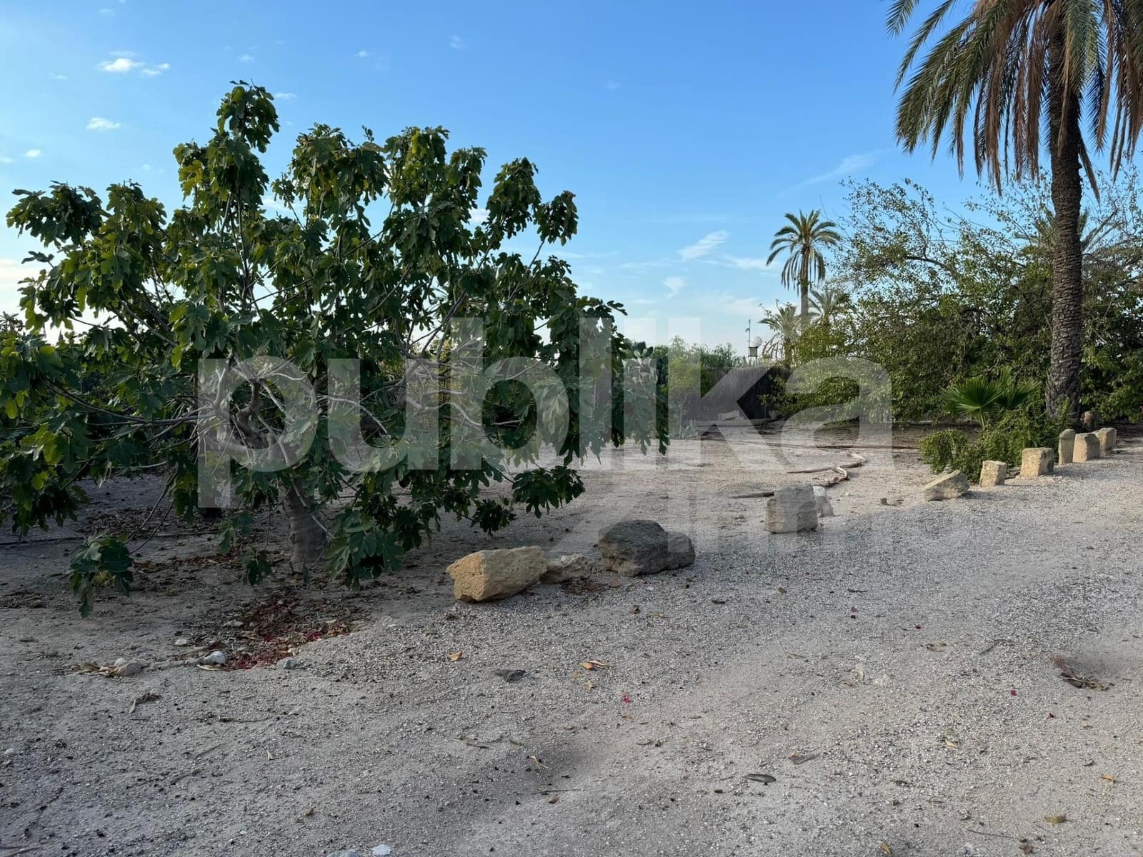 10 sovrum Villa till salu i Elche / Elx med pool - 580 000 € (Ref: 9847993)