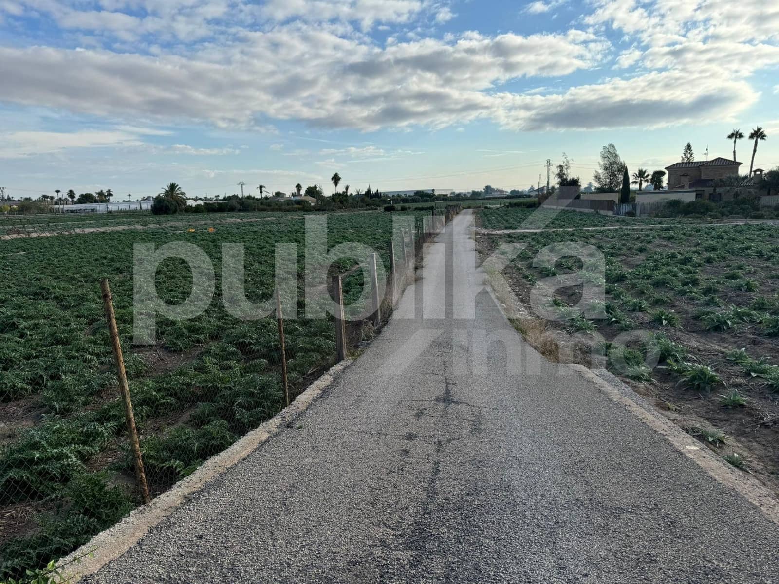 10 sovrum Villa till salu i Elche / Elx med pool - 580 000 € (Ref: 9847993)