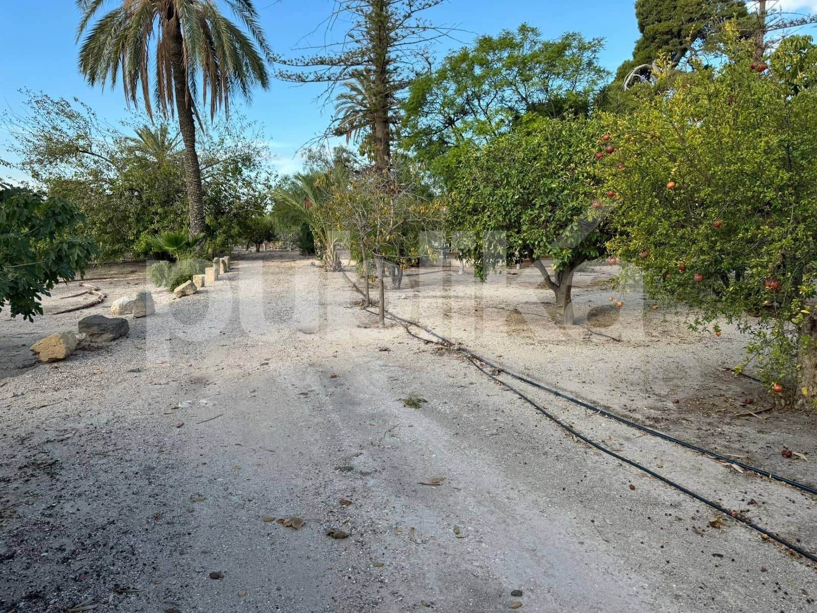 10 sovrum Villa till salu i Elche / Elx med pool - 580 000 € (Ref: 9847993)