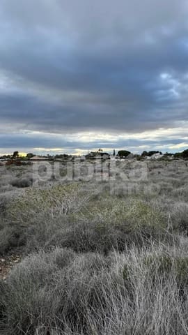 Building Plot for sale in Perleta, Elche / Elx - € 149,000 (Ref: 9847994)