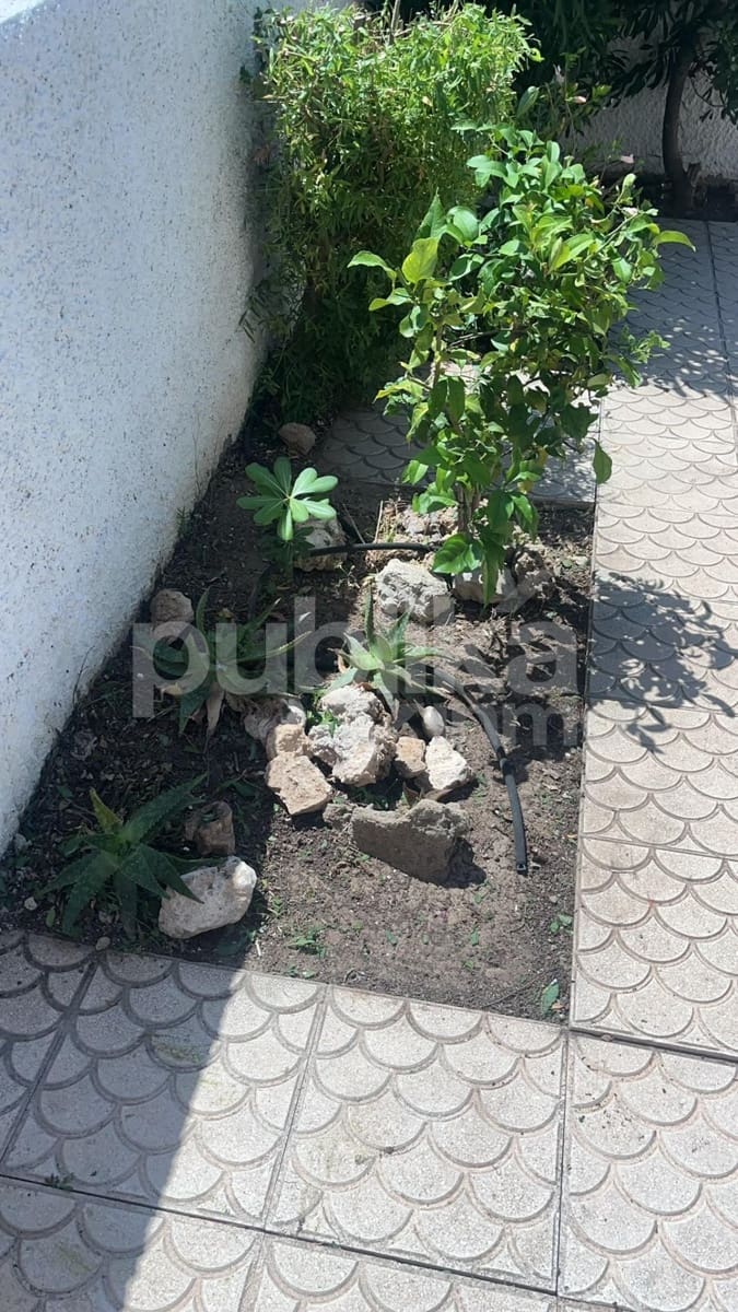 2 soverom Rekkehus til salgs i Torrevieja med svømmebasseng - € 159 000 (Ref: 9848003)