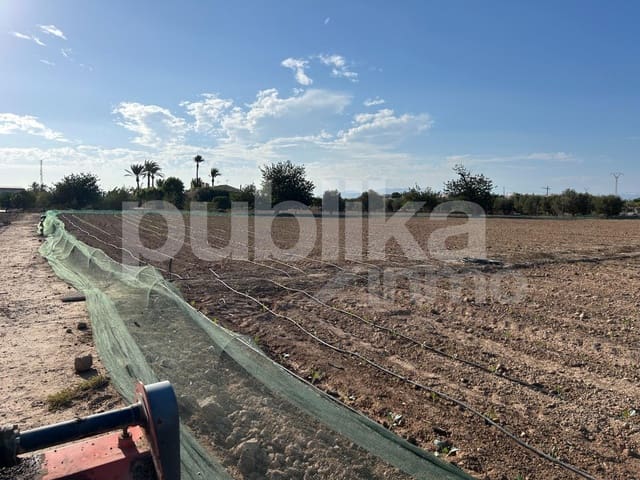 Grunde uden byggetilladelser til salg i Las Bayas, Elche / Elx - € 65.000 (Ref: 9848020)