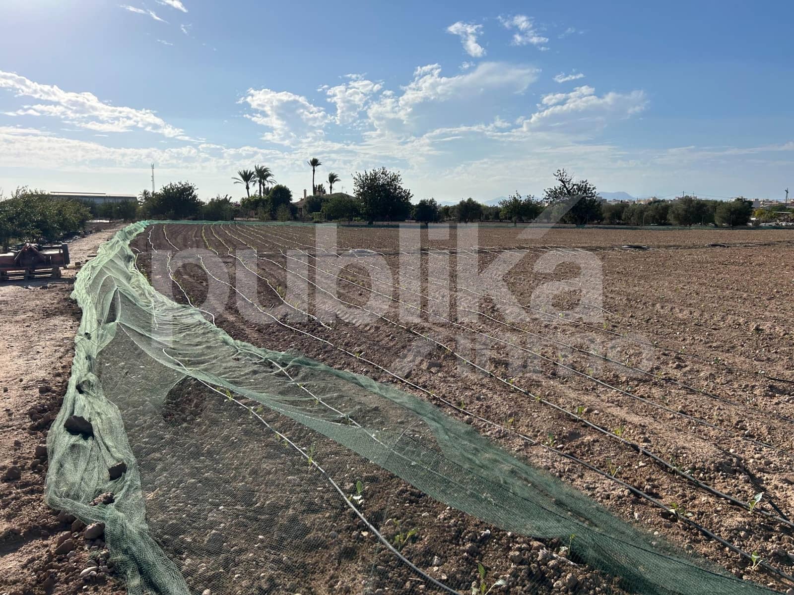 Grunde uden byggetilladelser til salg i Las Bayas - € 65.000 (Ref: 9848020)