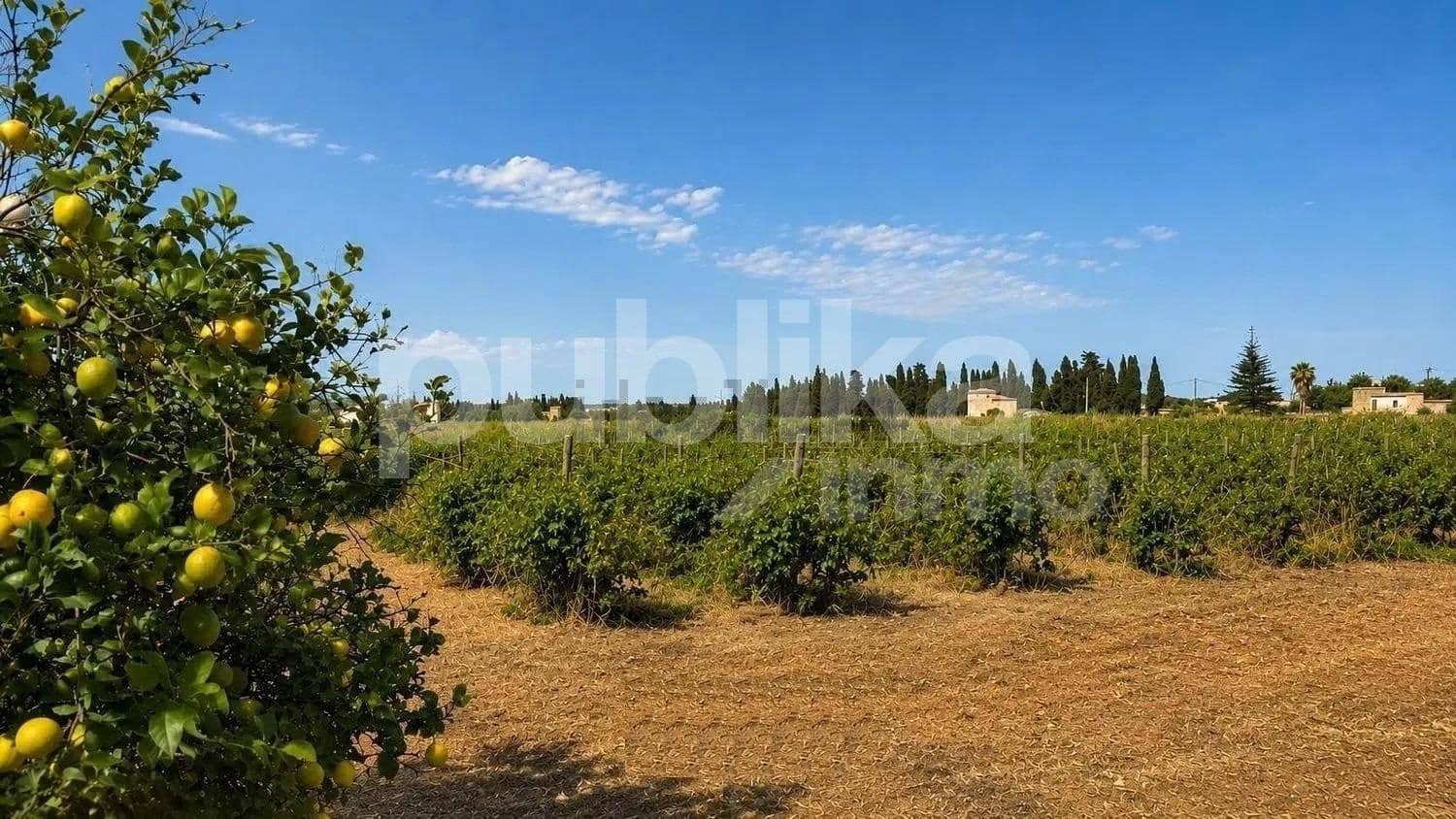 2 bedroom Finca/Country House for sale in Muro with pool - € 490,000 (Ref: 9973442)
