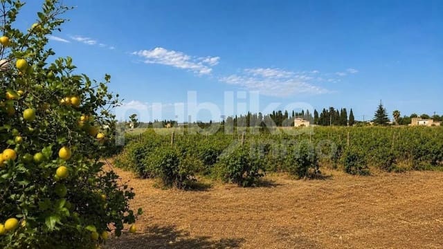 2 quarto Quinta/Casa Rural para venda em Muro com piscina - 490 000 € (Ref: 9973442)