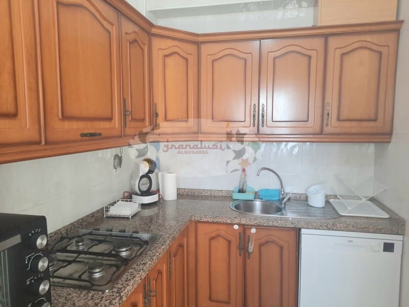 2 soveværelse Lejlighed til leje i Almunecar - € 990 (Ref: 8509726)