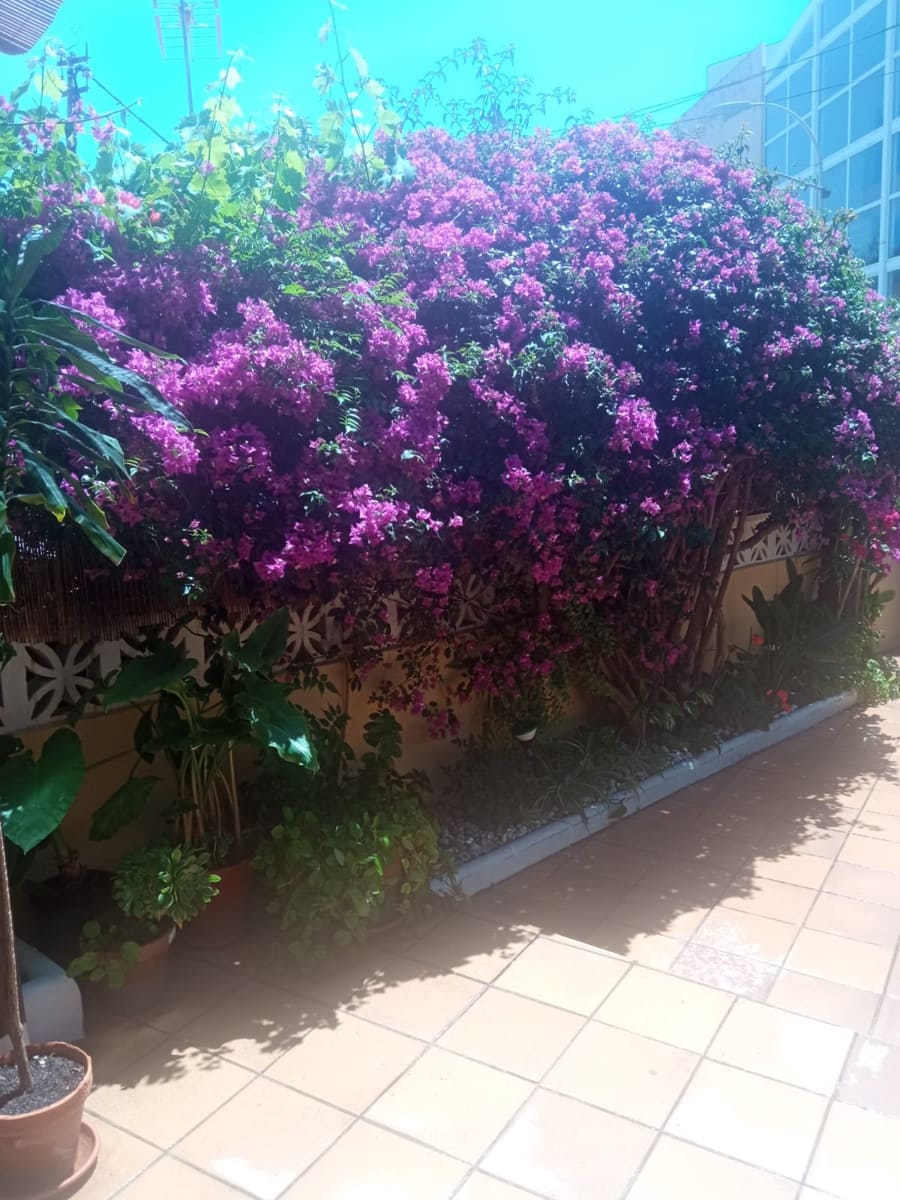 2 sovrum Hus att hyra i Almunecar med garage - 890 € (Ref: 9116542)