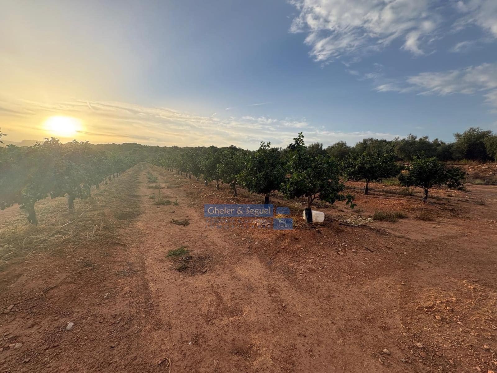 Terre non Aménagée à vendre à Algimia d'Alfara - 231 000 € (Ref: 10080201)