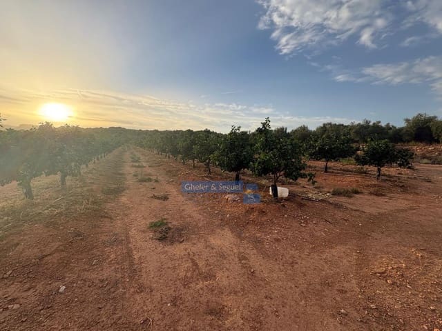 Terre non Aménagée à vendre à Algimia d'Alfara - 231 000 € (Ref: 10080201)
