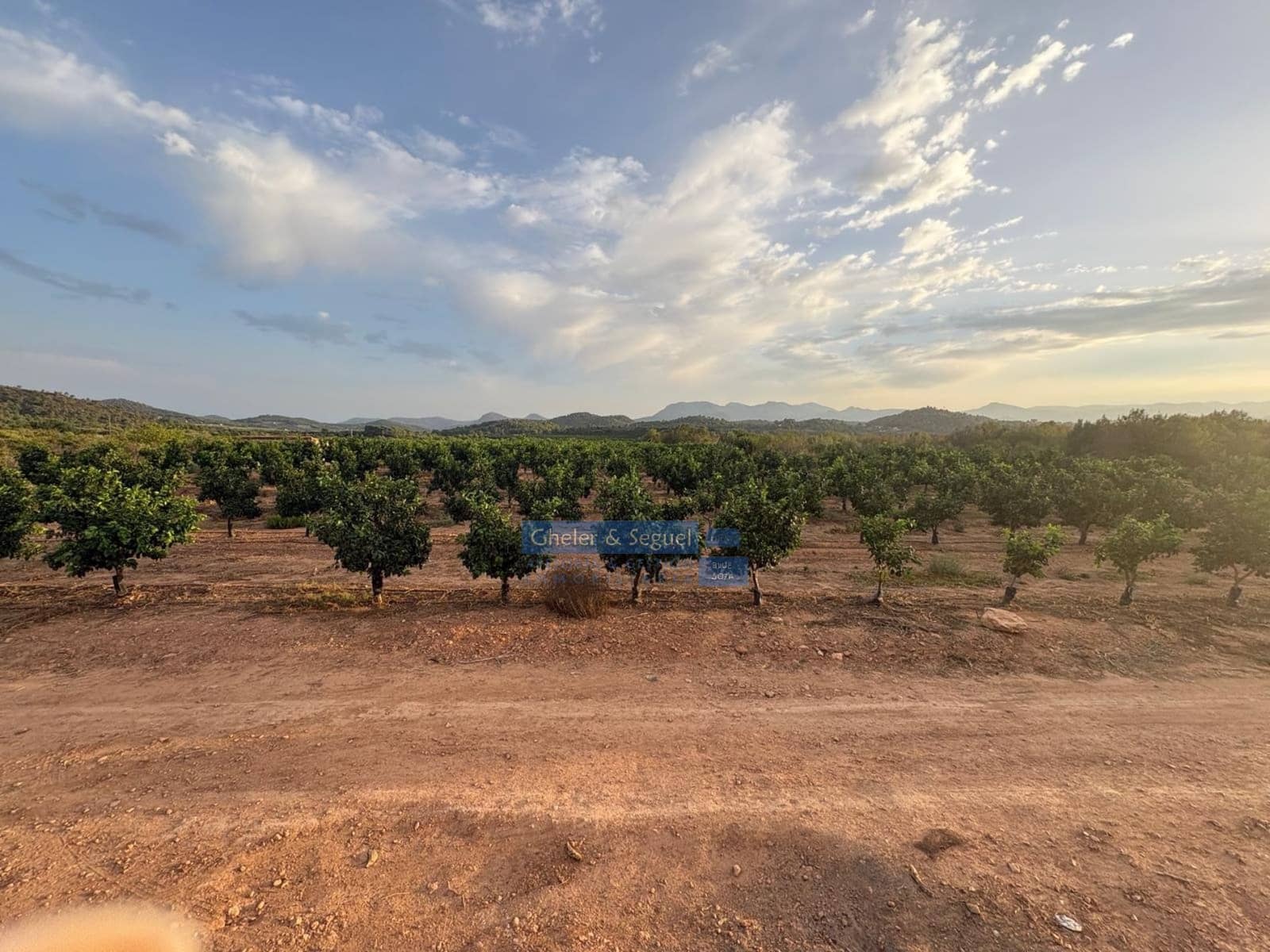 Terre non Aménagée à vendre à Algimia d'Alfara - 231 000 € (Ref: 10080201)