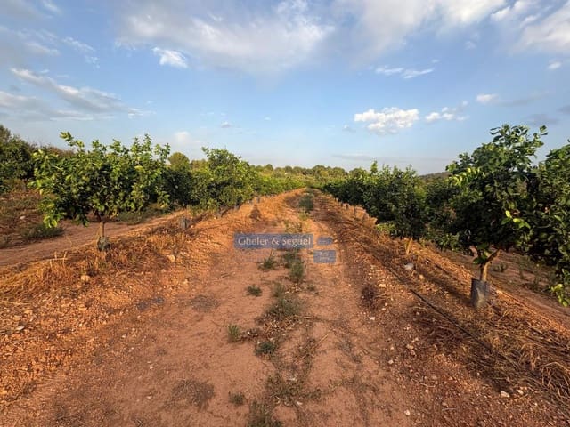Terre non Aménagée à vendre à Algimia d'Alfara - 231 000 € (Ref: 10080201)