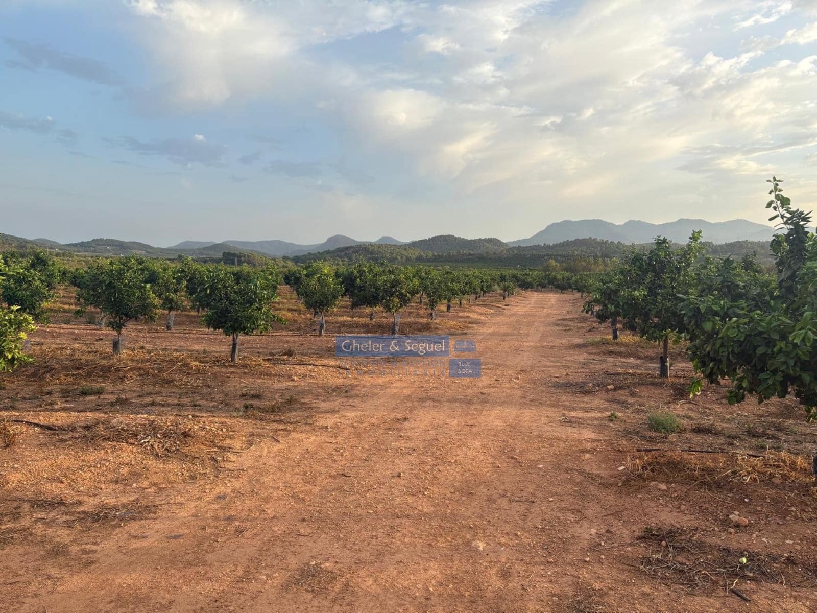 Terre non Aménagée à vendre à Algimia d'Alfara - 231 000 € (Ref: 10080201)