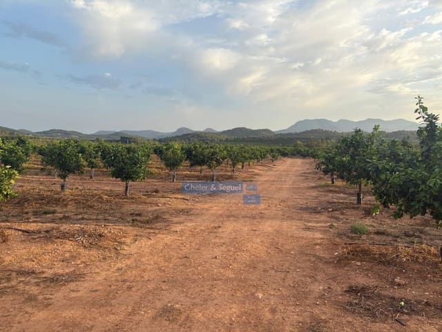 Terre non Aménagée à vendre à Algimia d'Alfara - 231 000 € (Ref: 10080201)