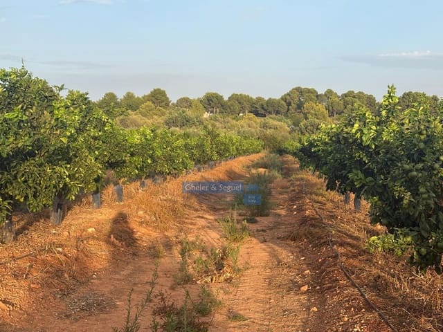 Terre non Aménagée à vendre à Algimia d'Alfara - 231 000 € (Ref: 10080201)