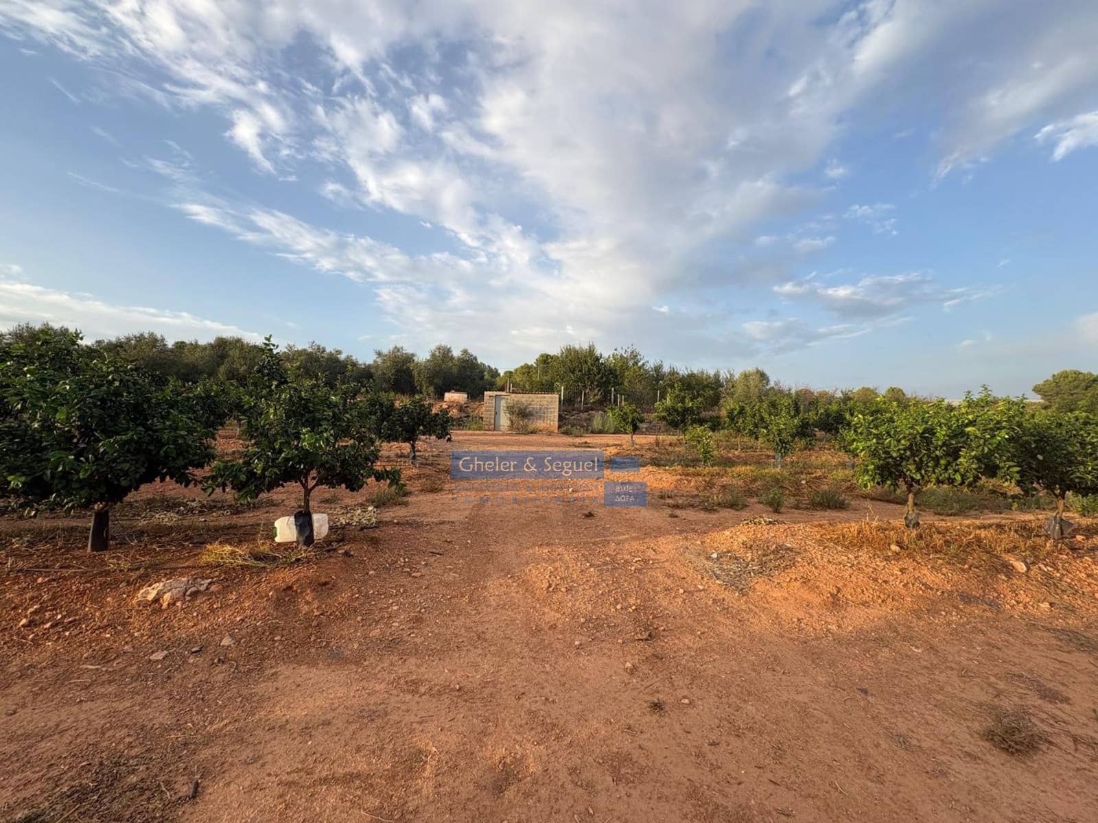 Terre non Aménagée à vendre à Algimia d'Alfara - 231 000 € (Ref: 10080201)