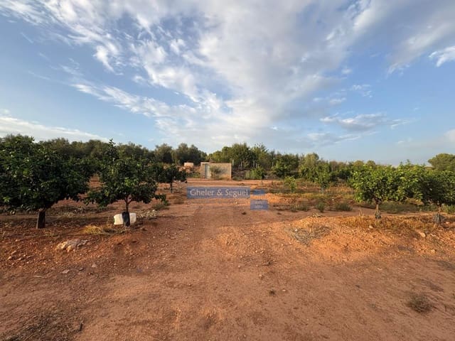 Terre non Aménagée à vendre à Algimia d'Alfara - 231 000 € (Ref: 10080201)