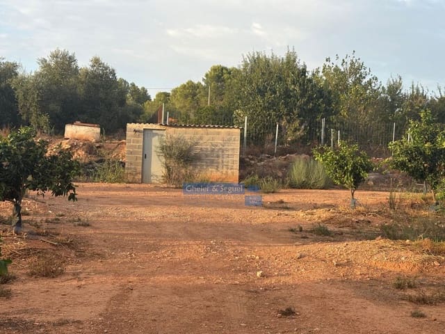 Terre non Aménagée à vendre à Algimia d'Alfara - 231 000 € (Ref: 10080201)