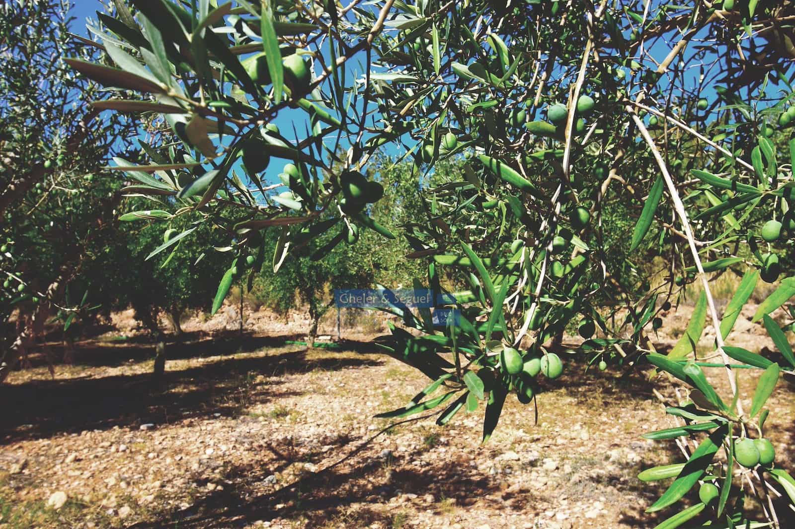 4 camera da letto Finca/Casa di Campagna in vendita in Casinos - 200.000 € (Rif: 9522726)