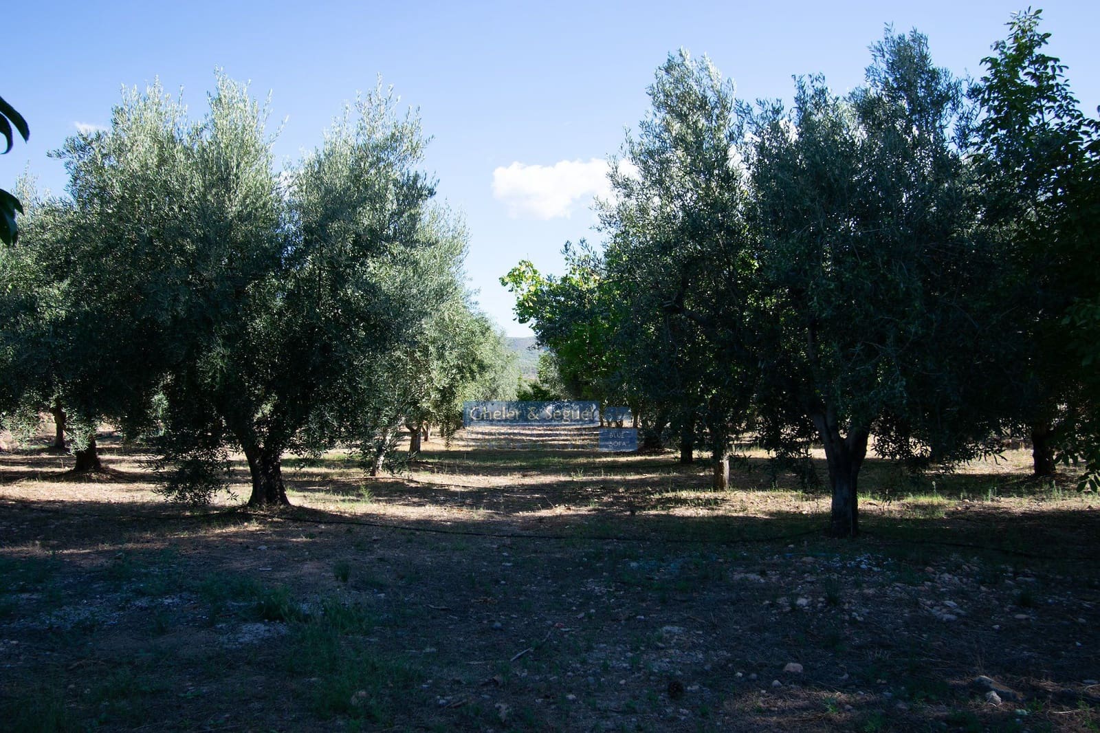 4 camera da letto Finca/Casa di Campagna in vendita in Casinos - 200.000 € (Rif: 9522726)