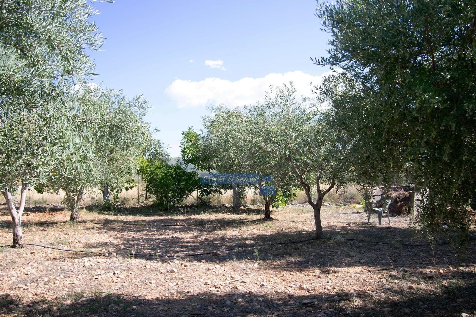 4 camera da letto Finca/Casa di Campagna in vendita in Casinos - 200.000 € (Rif: 9522726)