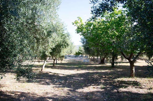 4 sovrum Finca/Hus på landet till salu i Casinos - 200 000 € (Ref: 9522726)