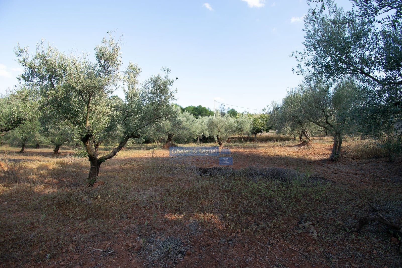 Villa in vendita in Algimia d'Alfara - 150.000 € (Rif: 9522727)