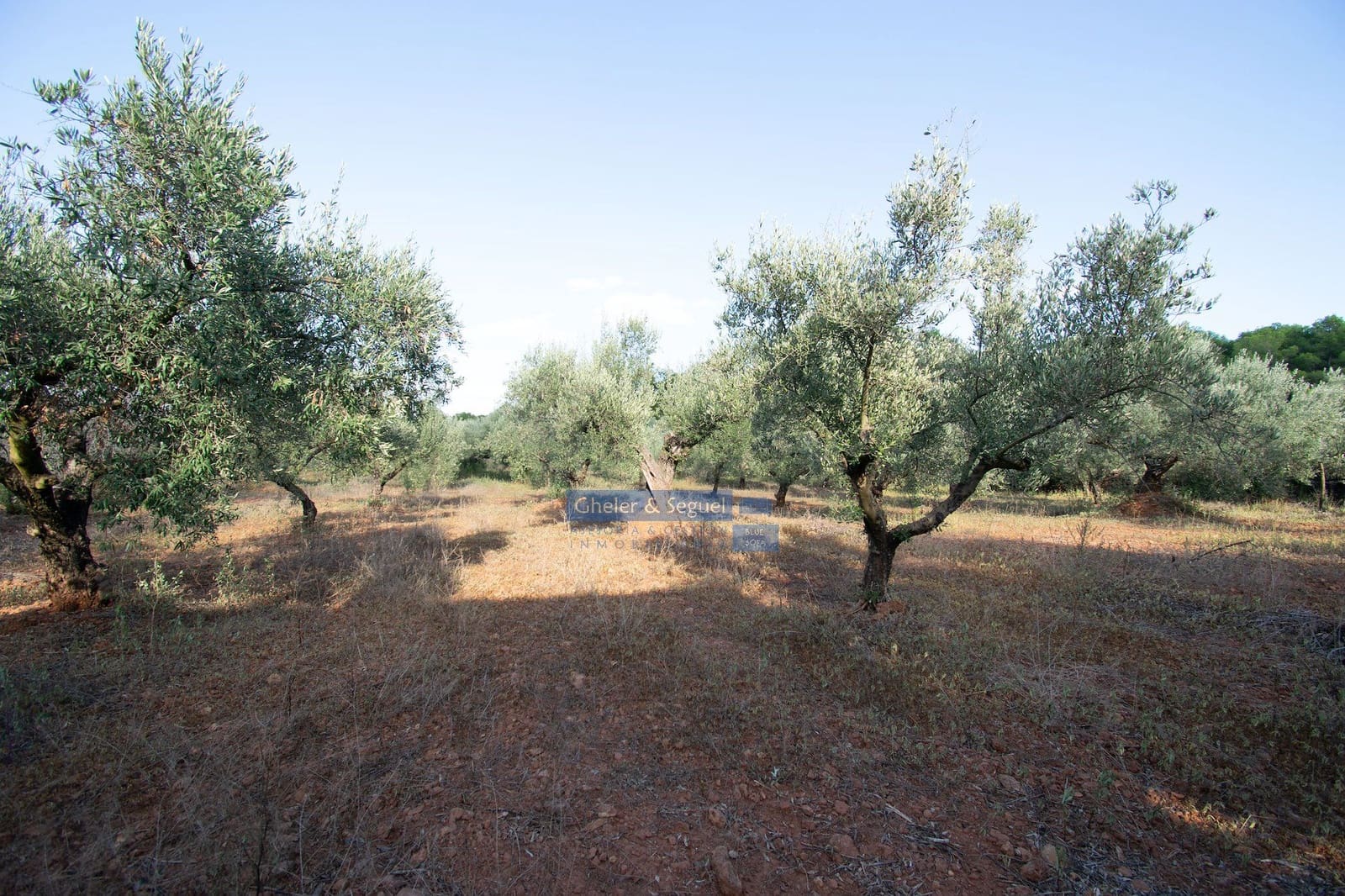 Villa in vendita in Algimia d'Alfara - 150.000 € (Rif: 9522727)