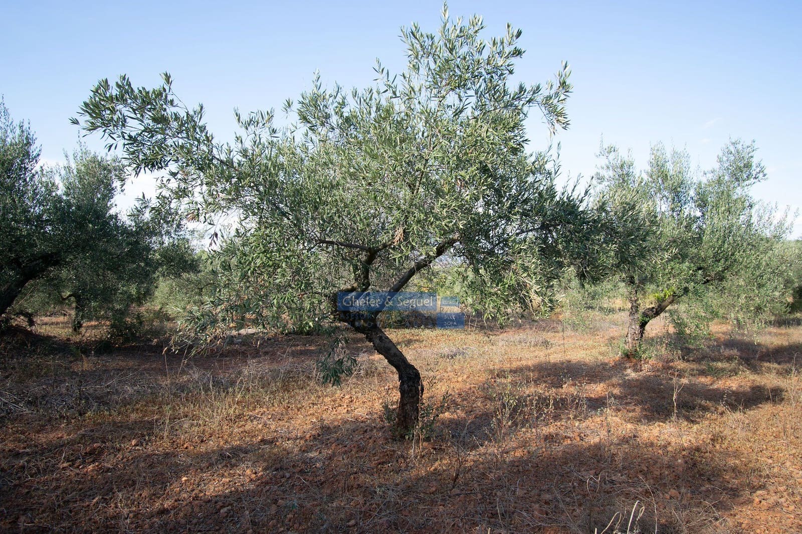 Villa in vendita in Algimia d'Alfara - 150.000 € (Rif: 9522727)