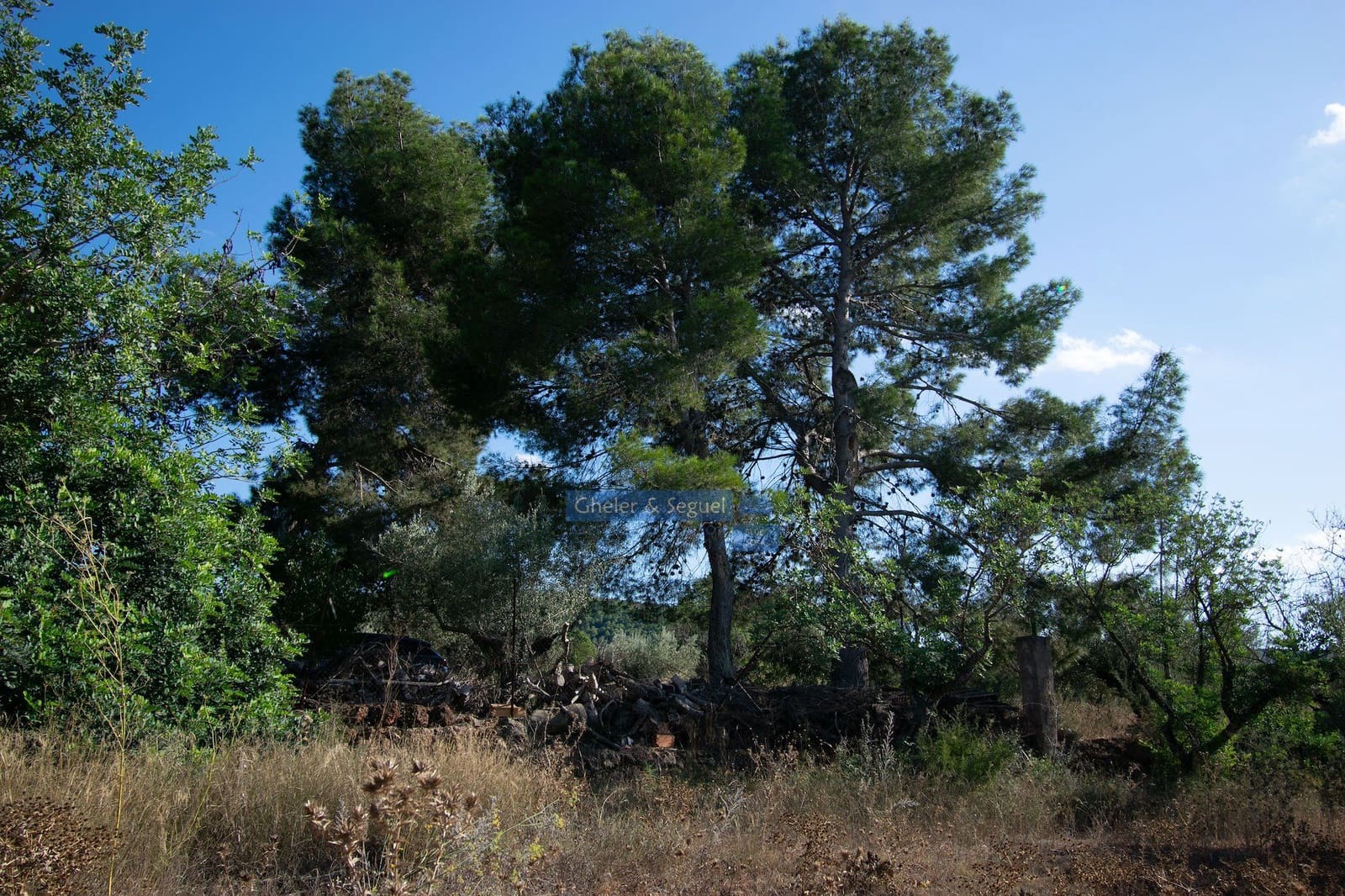 Villa in vendita in Algimia d'Alfara - 150.000 € (Rif: 9522727)