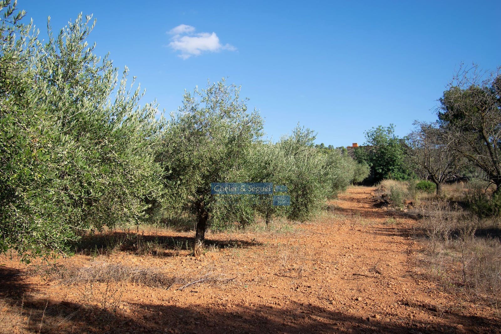 Villa in vendita in Algimia d'Alfara - 150.000 € (Rif: 9522727)