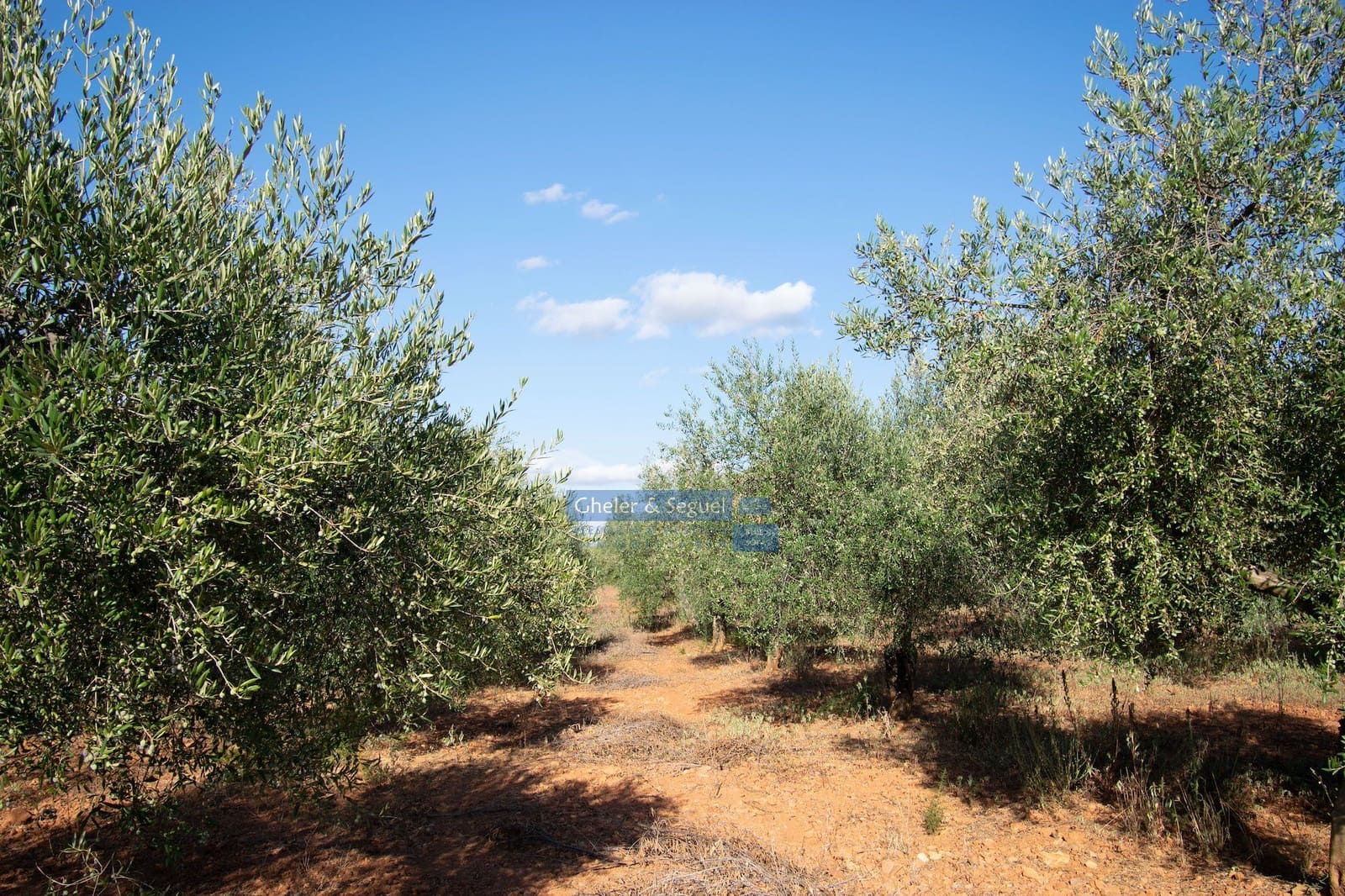 Villa in vendita in Algimia d'Alfara - 150.000 € (Rif: 9522727)