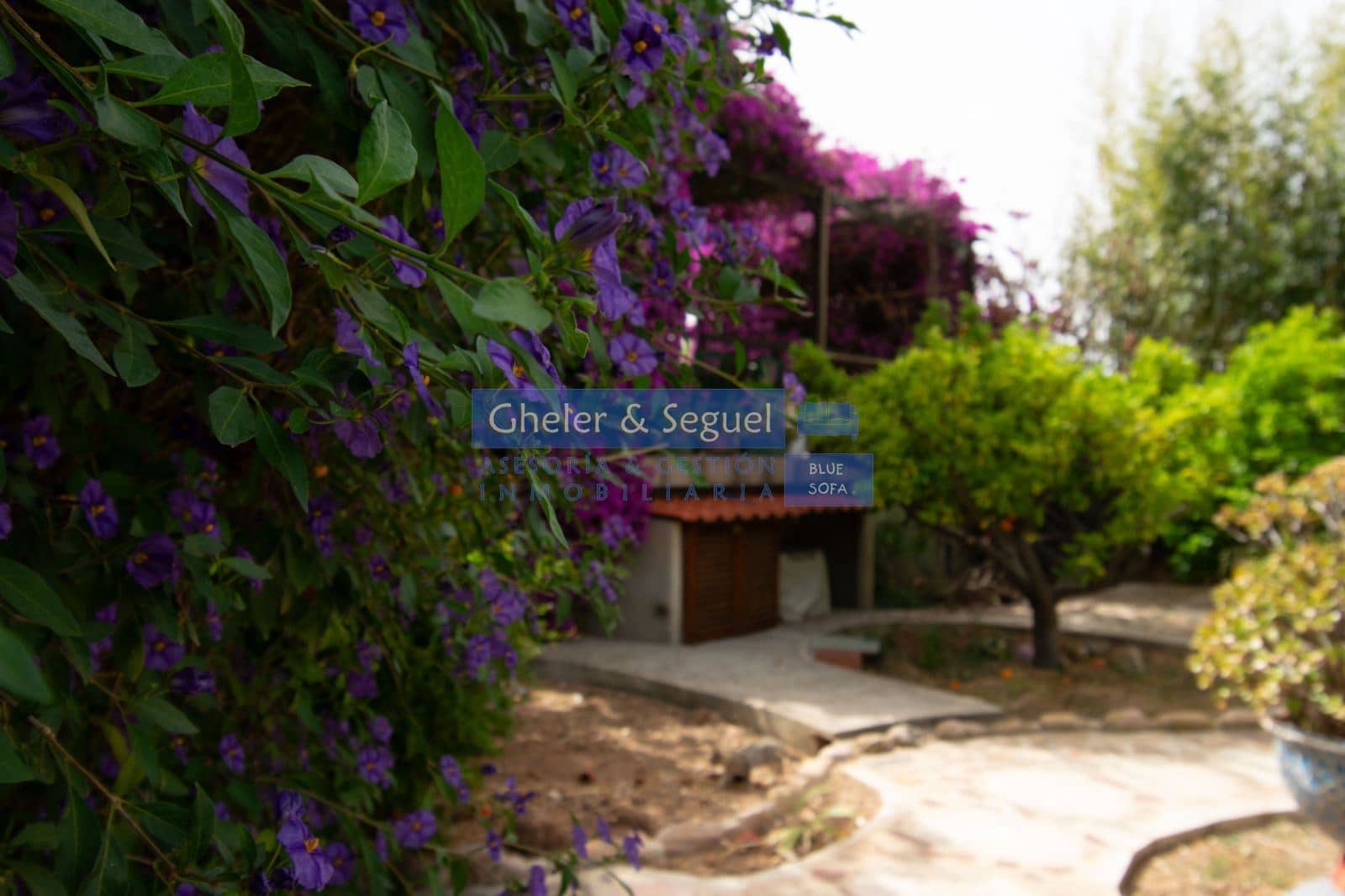 3 bedroom Villa for sale in Algar de Palancia with pool - € 235,000 (Ref: 9522731)