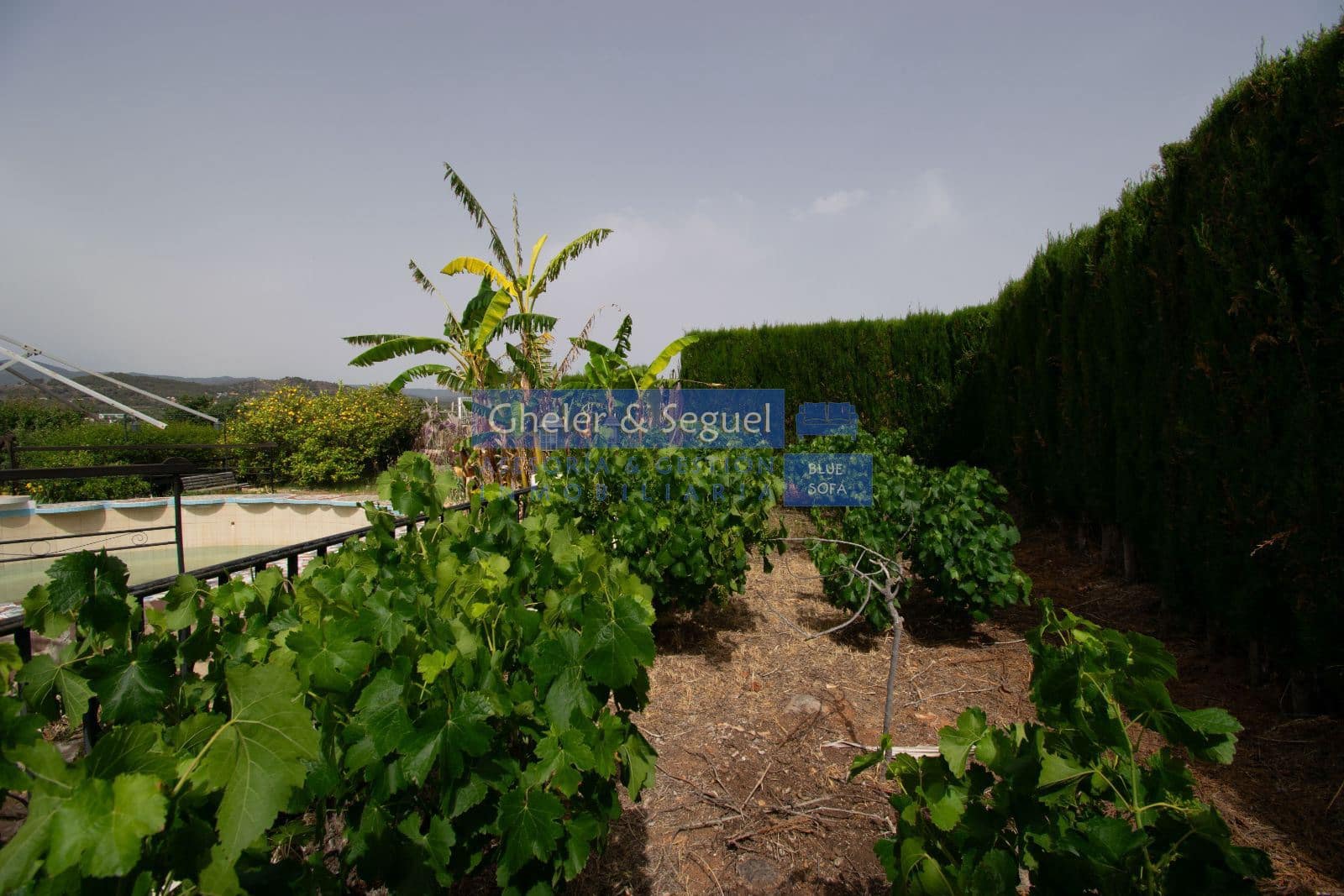 3 bedroom Villa for sale in Algar de Palancia with pool - € 235,000 (Ref: 9522731)