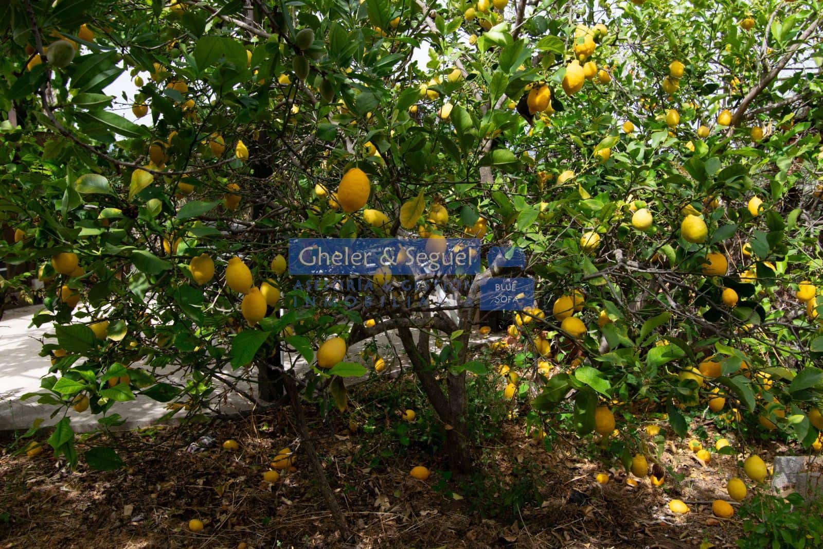 3 bedroom Villa for sale in Algar de Palancia with pool - € 235,000 (Ref: 9522731)