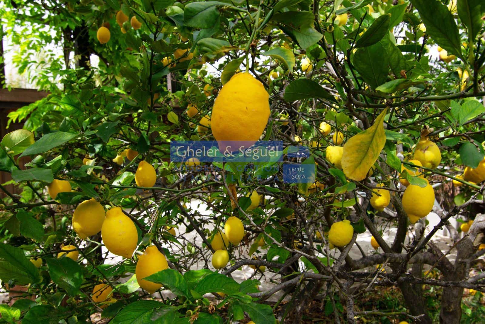 3 bedroom Villa for sale in Algar de Palancia with pool - € 235,000 (Ref: 9522731)