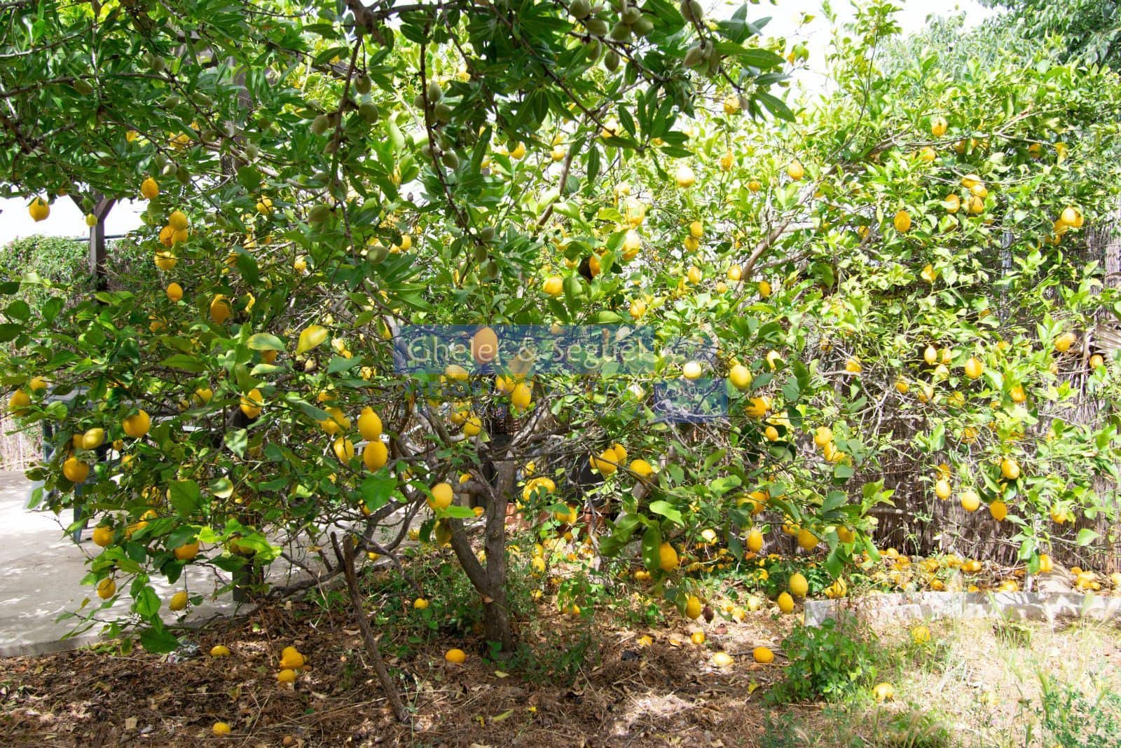 3 bedroom Villa for sale in Algar de Palancia with pool - € 235,000 (Ref: 9522731)