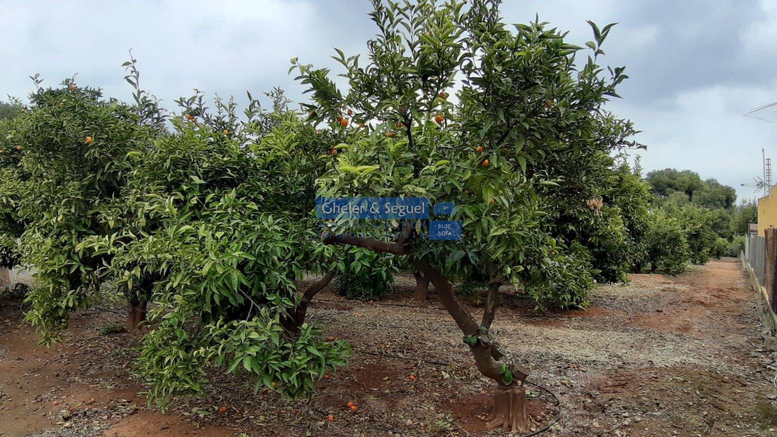 Rakentamaton maa myytävänä paikassa Sagunto / Sagunt - 169 000 € (Ref: 9522743)