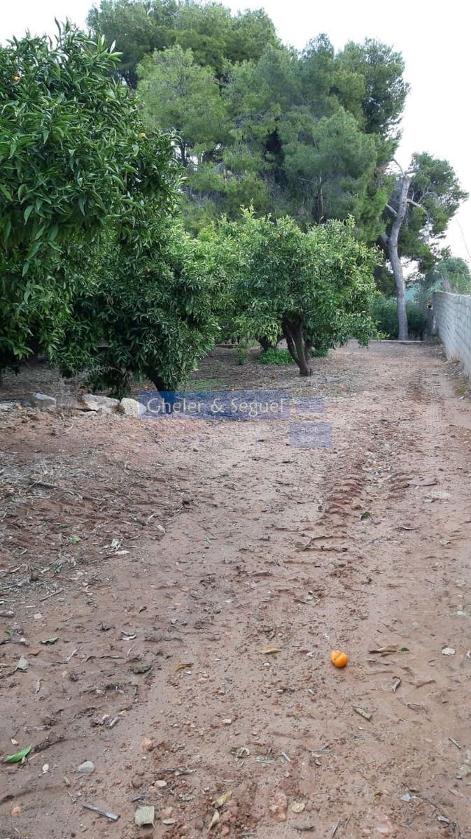 Rakentamaton maa myytävänä paikassa Sagunto / Sagunt - 169 000 € (Ref: 9522743)