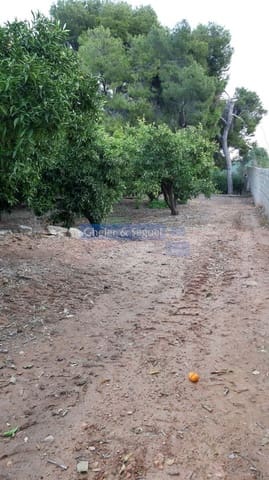 Rakentamaton maa myytävänä paikassa Sagunto / Sagunt - 169 000 € (Ref: 9522743)