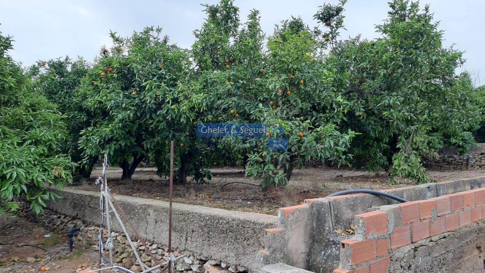 Rakentamaton maa myytävänä paikassa Sagunto / Sagunt - 169 000 € (Ref: 9522743)