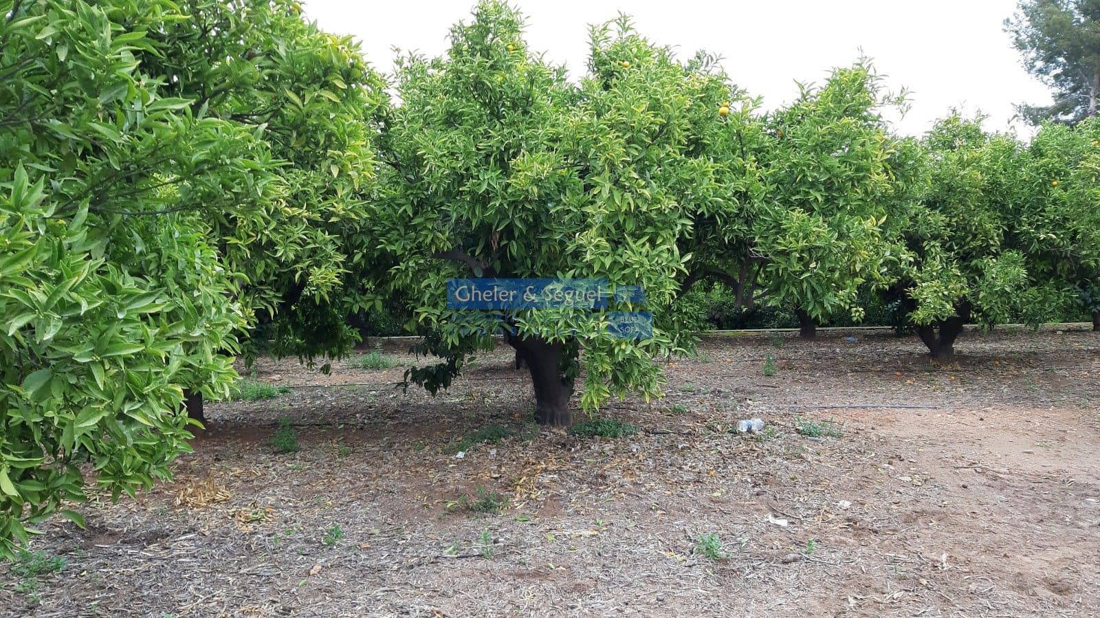 Rakentamaton maa myytävänä paikassa Sagunto / Sagunt - 169 000 € (Ref: 9522743)