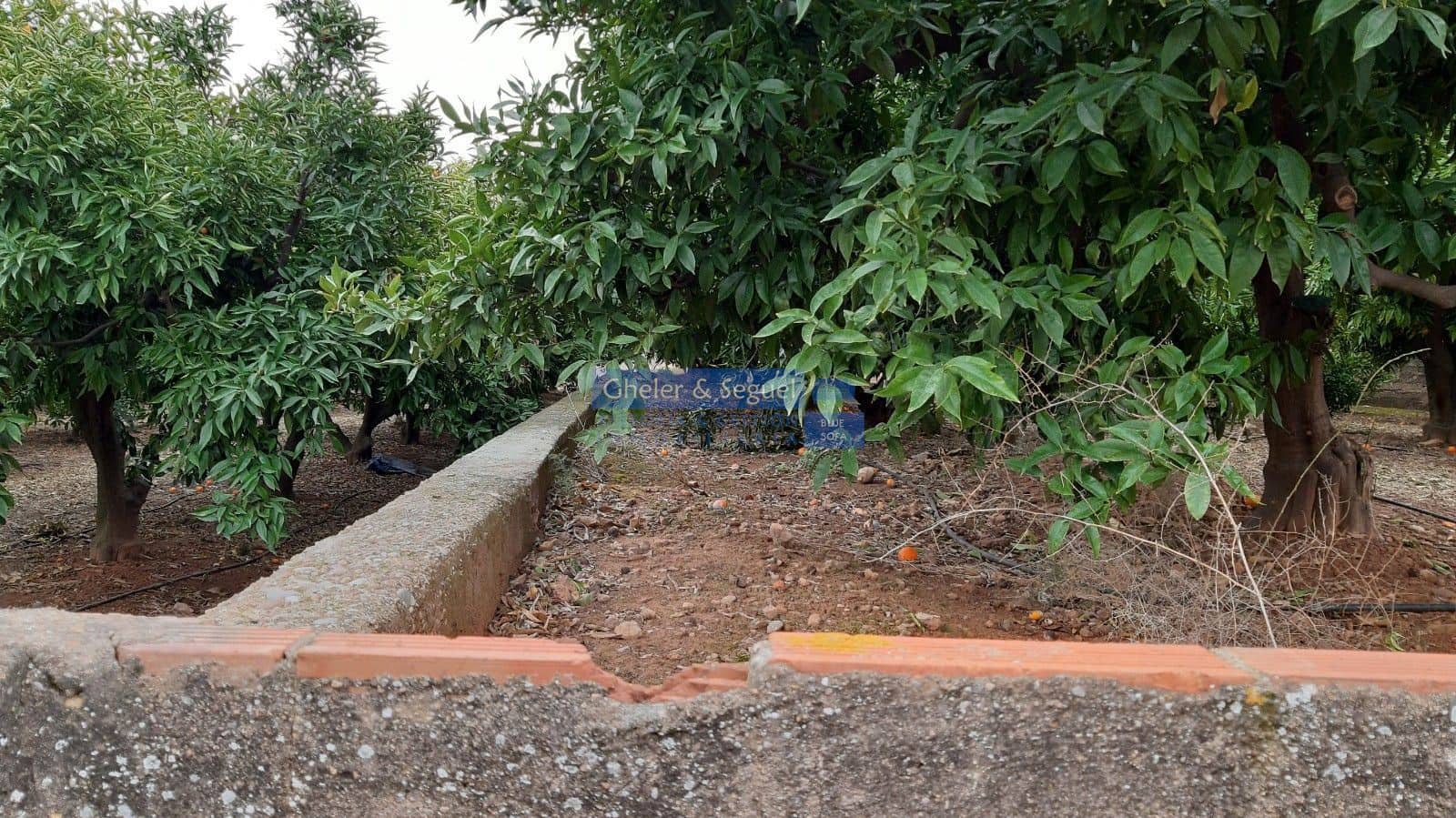 Rakentamaton maa myytävänä paikassa Sagunto / Sagunt - 169 000 € (Ref: 9522743)