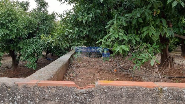 Rakentamaton maa myytävänä paikassa Sagunto / Sagunt - 169 000 € (Ref: 9522743)