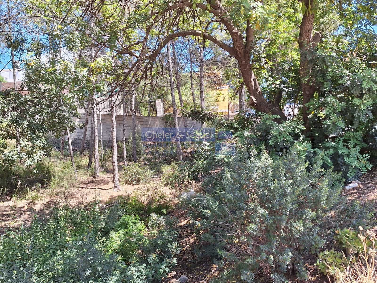 Byggegrund til salg i Gilet - € 80.000 (Ref: 9522750)