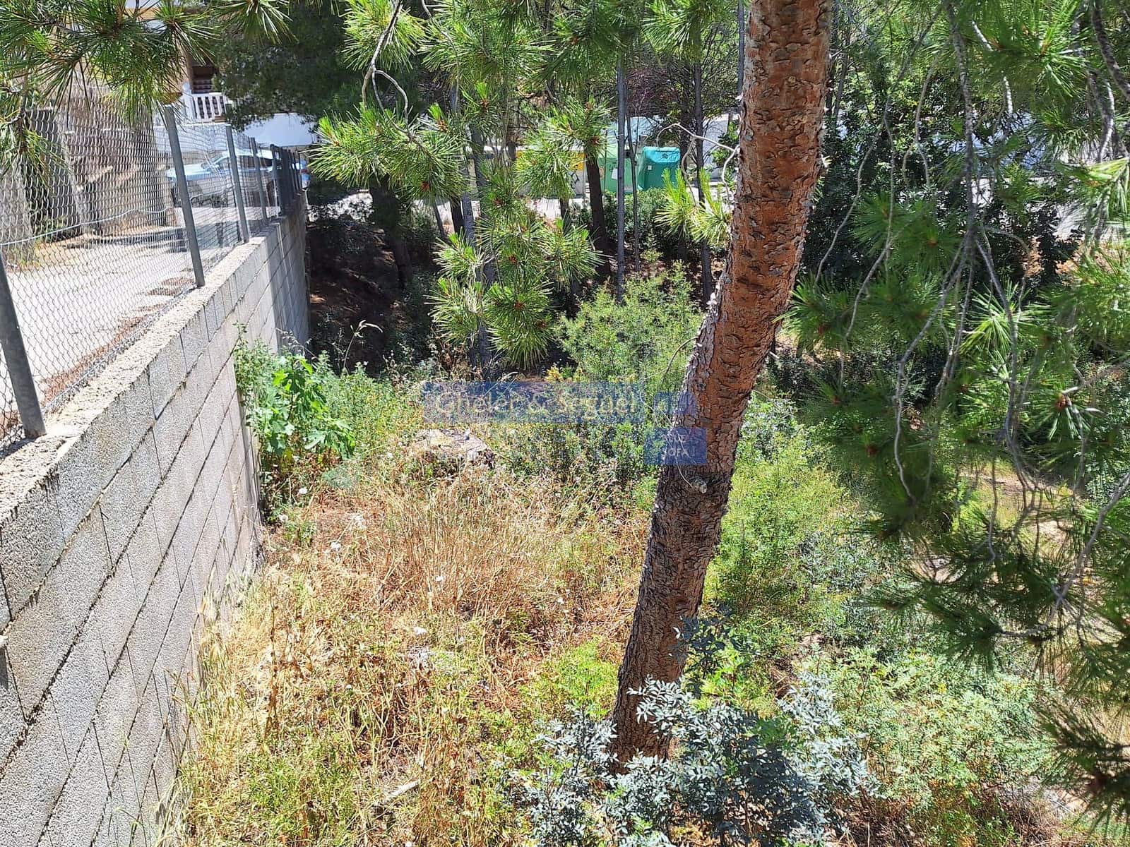 Byggegrund til salg i Gilet - € 80.000 (Ref: 9522750)