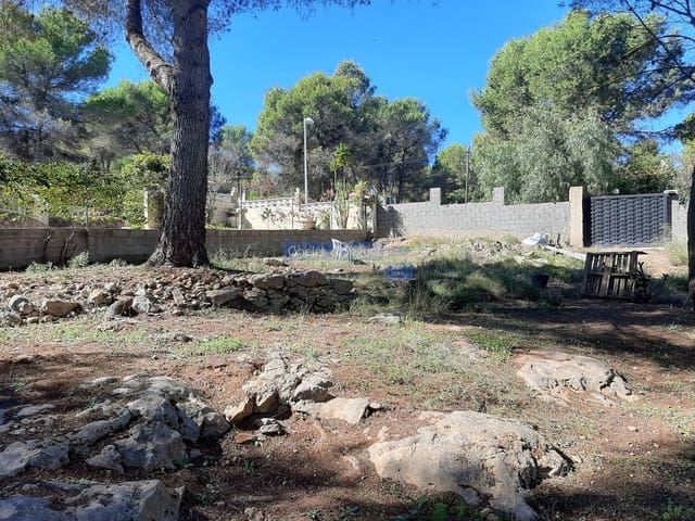Building Plot for sale in Algar de Palancia - € 69,000 (Ref: 9522751)