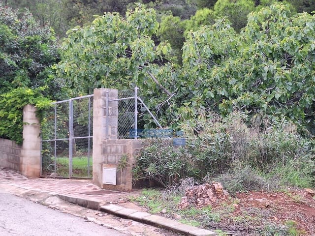 Tontti myytävänä paikassa Serra - 70 000 € (Ref: 9522753)