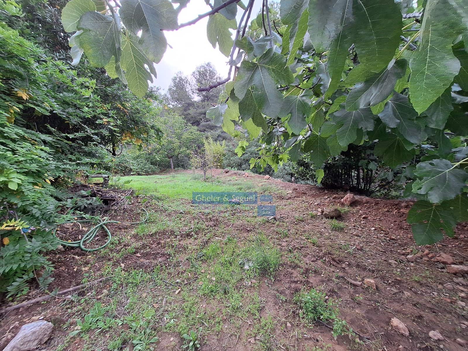 Tontti myytävänä paikassa Serra - 70 000 € (Ref: 9522753)