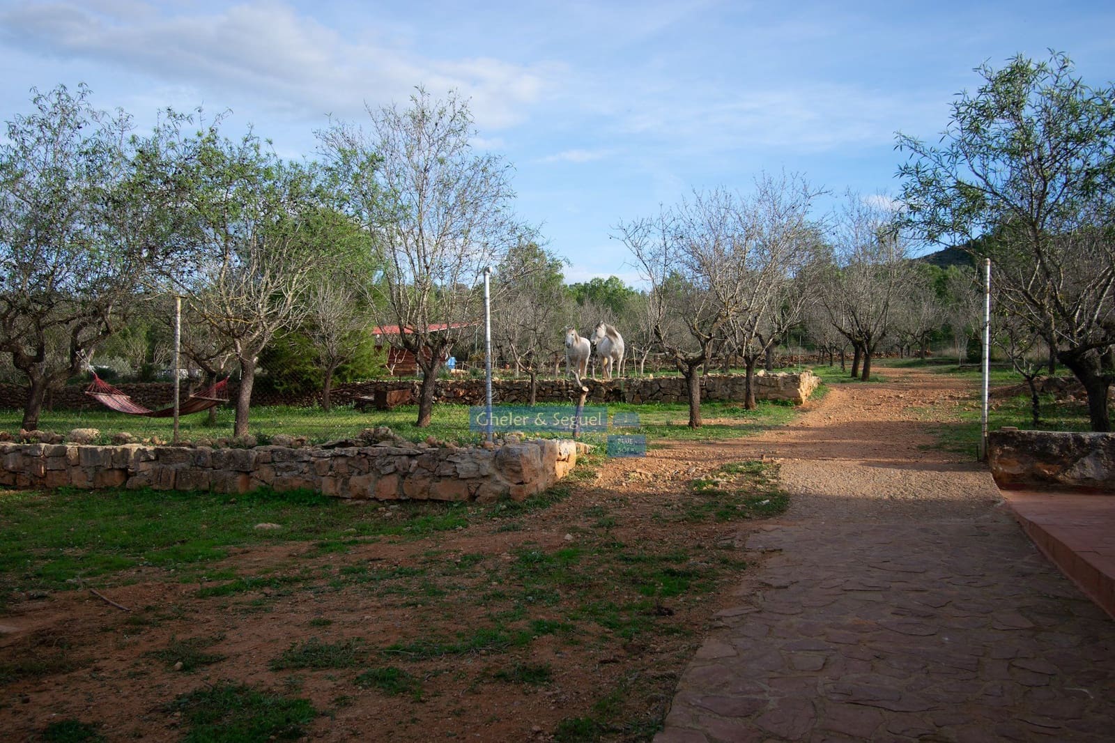 2 camera da letto Villa in vendita in Algimia d'Alfara - 195.000 € (Rif: 9522841)