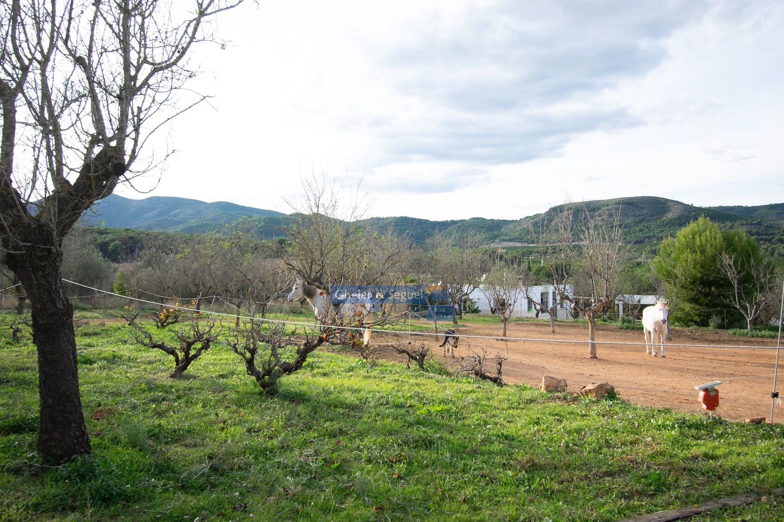 2 camera da letto Villa in vendita in Algimia d'Alfara - 195.000 € (Rif: 9522841)